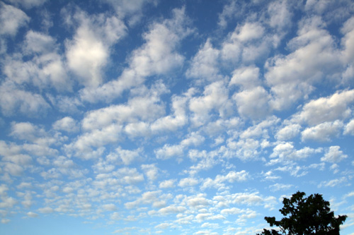 d0016587_23171210.jpg