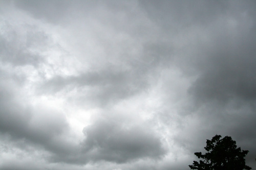 d0016587_2322926.jpg