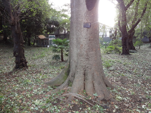 f0189987_8184125.jpg