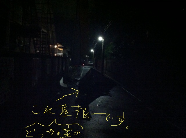 やれるもんなら・・・_f0236990_9171213.jpg