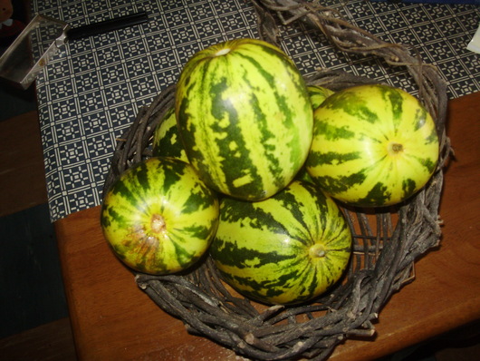 e0014991_1617228.jpg
