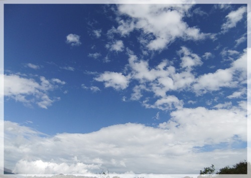f0215591_146924.jpg