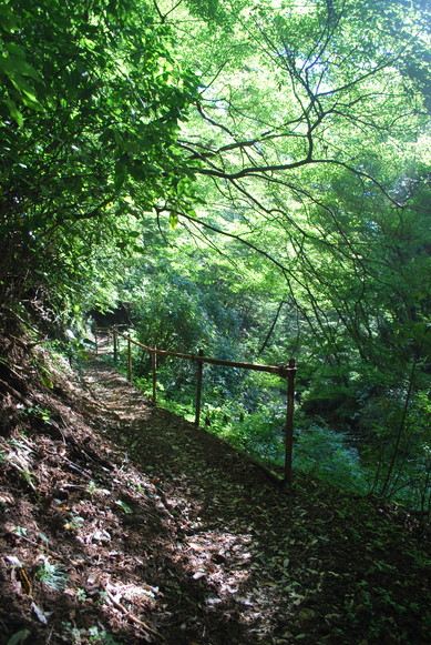e0172592_0142967.jpg