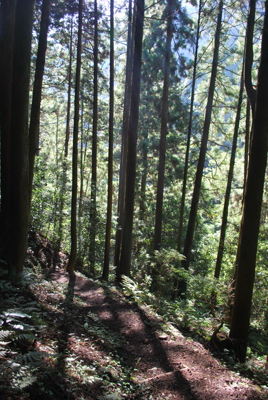 e0172592_015863.jpg
