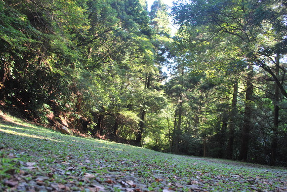 e0172592_0162620.jpg