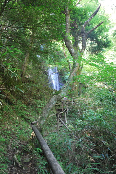 e0172592_022699.jpg