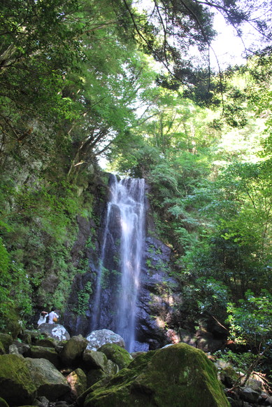 e0172592_052041.jpg