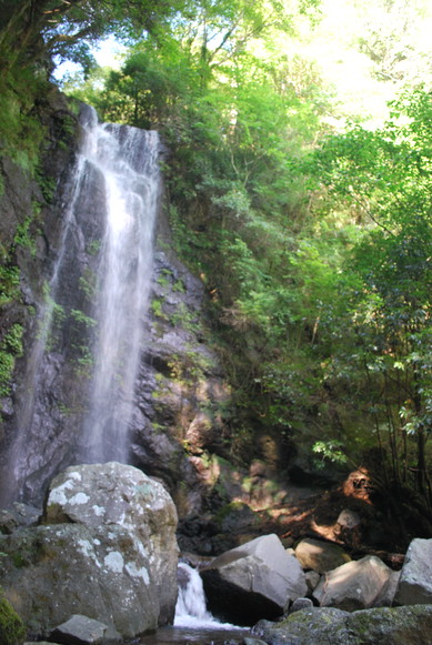 e0172592_062864.jpg