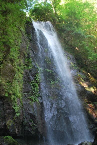 e0172592_085721.jpg