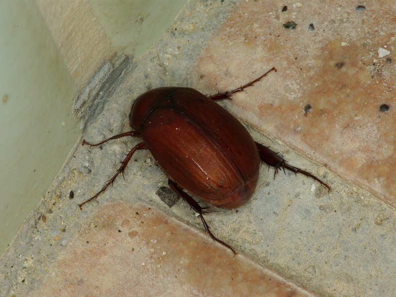 f0204094_8215815.jpg