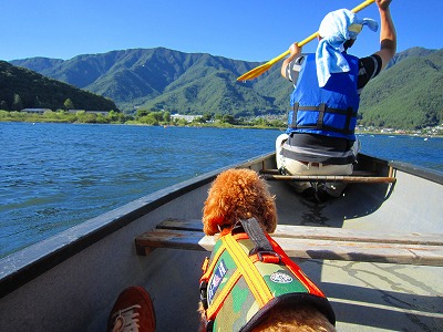 河口湖 日帰り③ カヌー犬養成講座？_e0227996_23345378.jpg