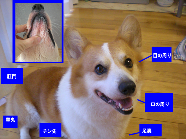 f0164499_0395955.jpg