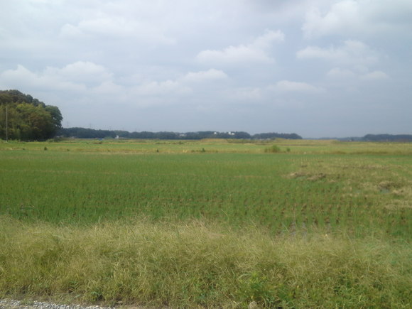 a0185007_16341178.jpg