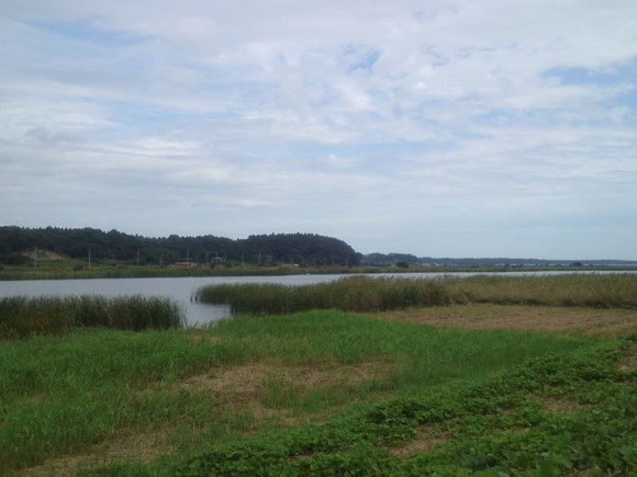 a0185007_16352046.jpg