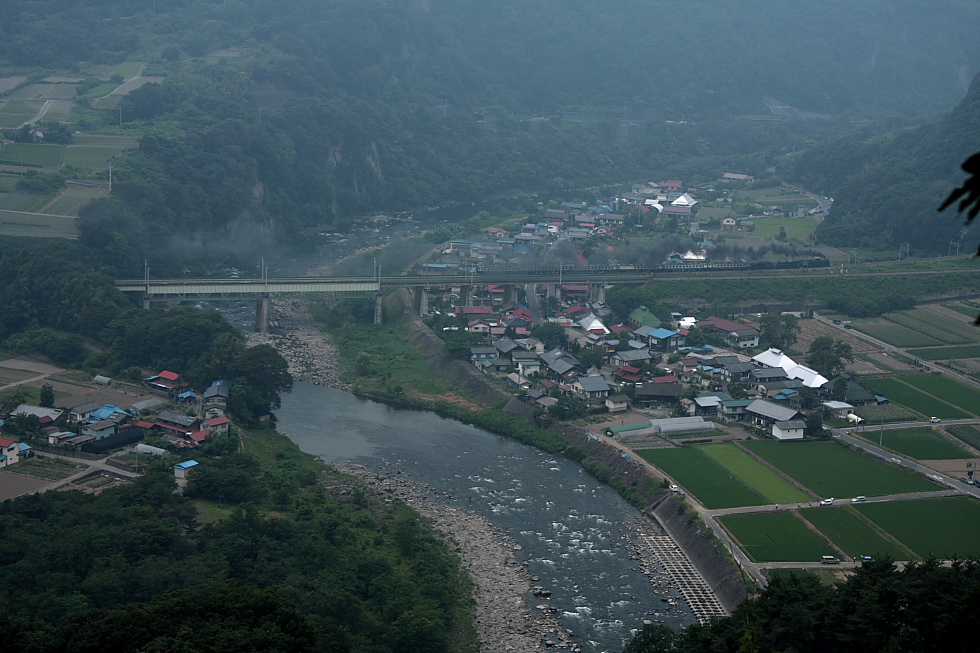 上越重連を目指して - 2011年夏・上越線 -_b0190710_5164227.jpg