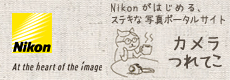 e0202310_714464.gif