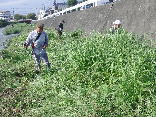「秋の芋煮会」を目標?に今年3回目の小潤井川の草刈り清掃_f0141310_8145287.jpg