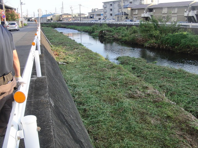 「秋の芋煮会」を目標?に今年3回目の小潤井川の草刈り清掃_f0141310_8154615.jpg