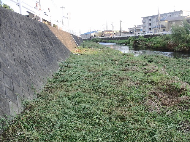 「秋の芋煮会」を目標?に今年3回目の小潤井川の草刈り清掃_f0141310_8163127.jpg