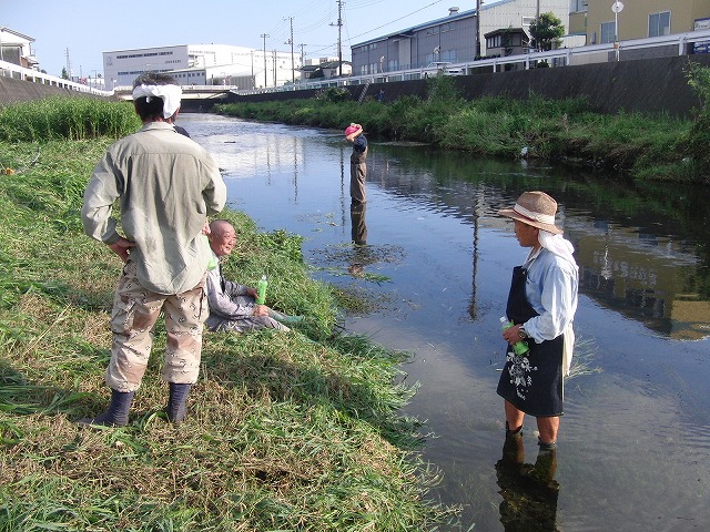「秋の芋煮会」を目標?に今年3回目の小潤井川の草刈り清掃_f0141310_8164495.jpg