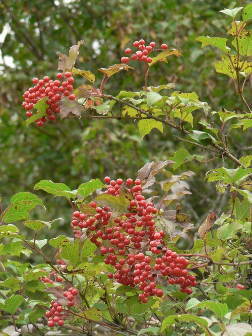 f0219710_7343830.jpg
