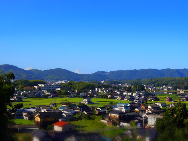 a0158613_1126737.jpg