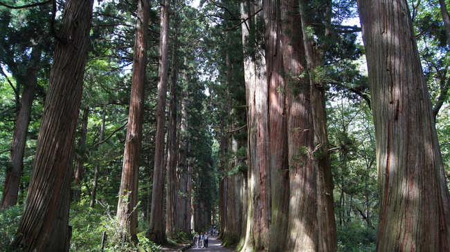 戸隠神社奥社と鏡池_f0233414_2127345.jpg