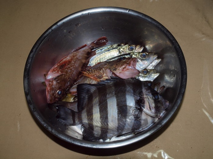 夫の釣果_c0116915_23291113.jpg