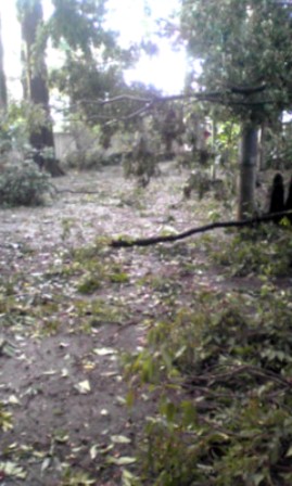 f0169215_13512759.jpg