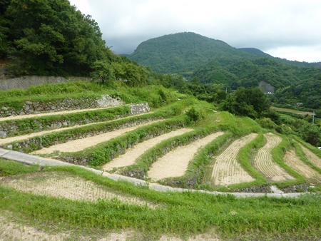 小豆島へ⑦　寒霞渓～千枚田_c0172719_016497.jpg