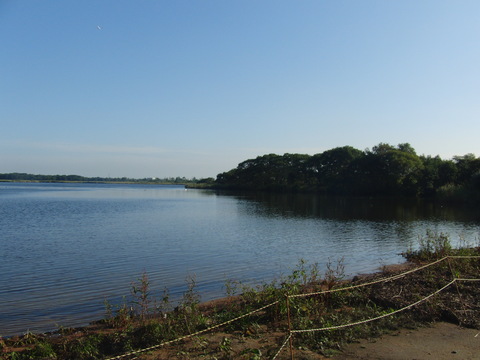 d0176525_81653.jpg