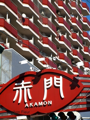 c0176527_2246239.jpg