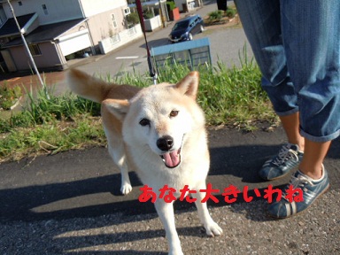 f0114128_2004326.jpg