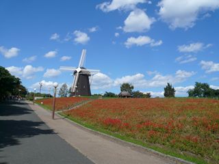 e0219732_20401819.jpg