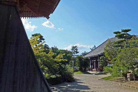 c0184737_04574.jpg