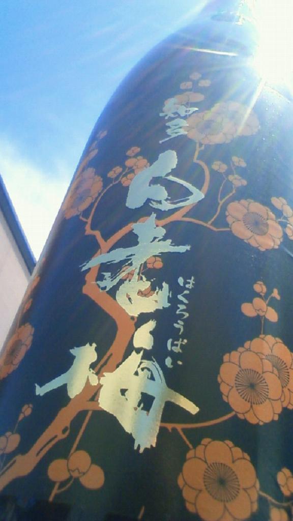祝!メデタイ白老梅_e0173738_10504070.jpg
