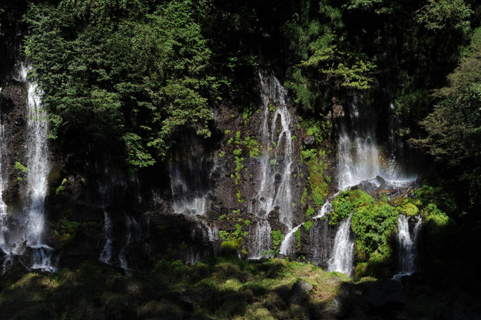 b0067346_05937.jpg