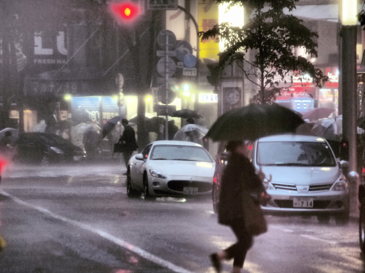 台風１５号　　　０７９)_c0068050_23271223.jpg