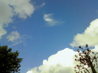 c0164652_93164.jpg