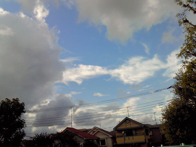 c0164652_94050.jpg