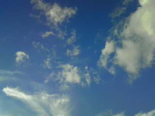 c0164652_961148.jpg