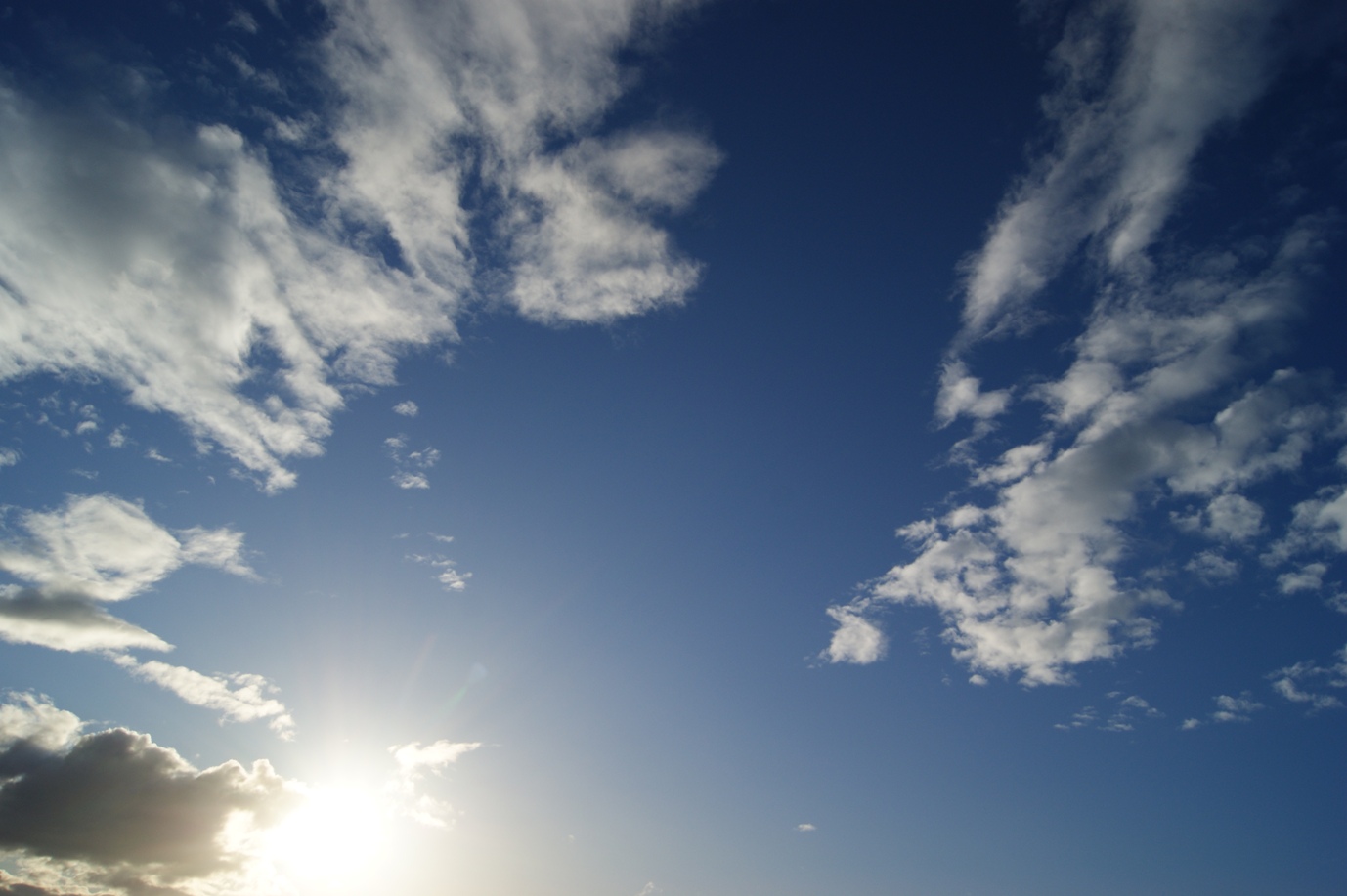 b0206360_1652751.jpg