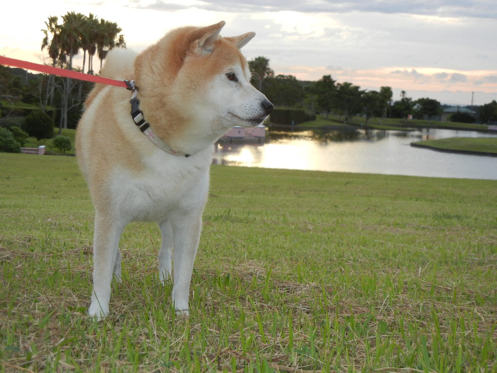2011年9月23日(金)やっと本物の秋が~!_f0060461_111014.jpg