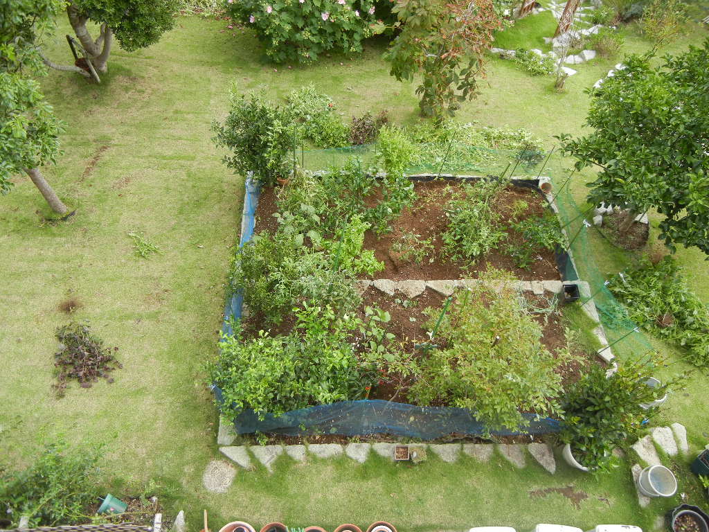 2011年9月23日(金)やっと本物の秋が~!_f0060461_11323898.jpg