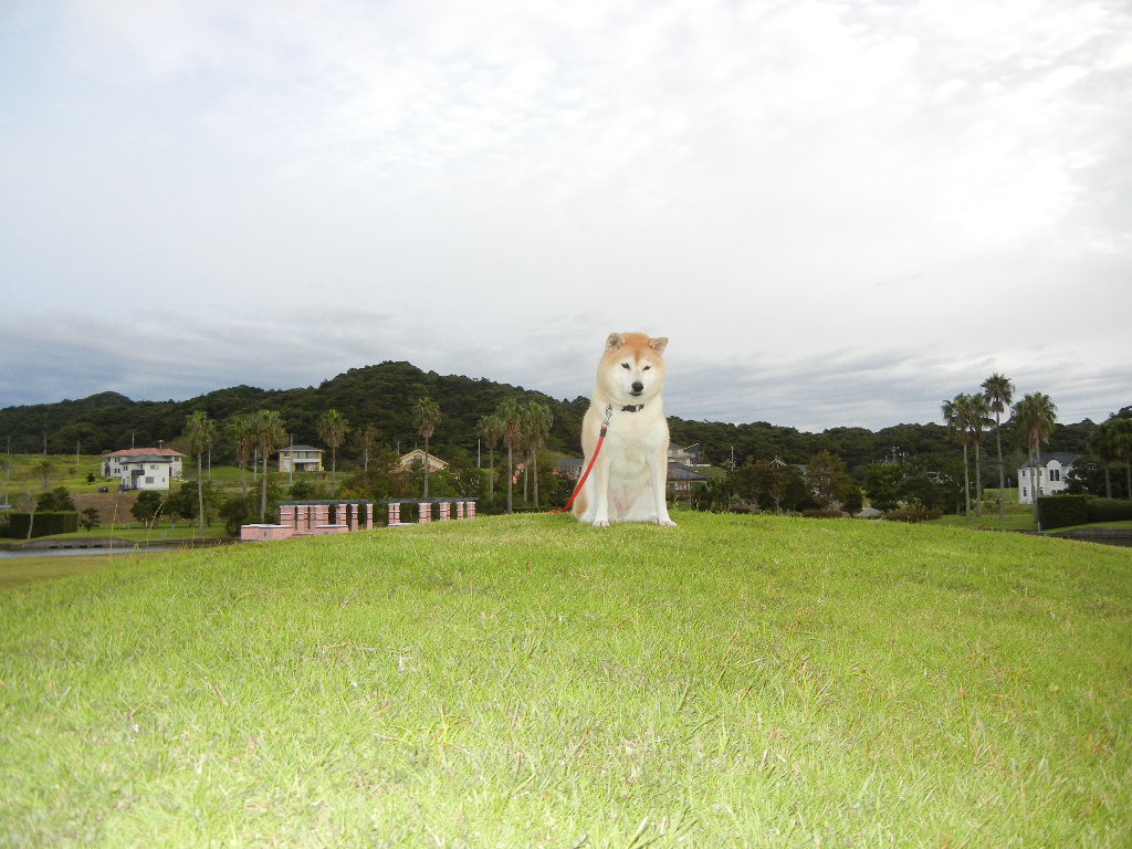 2011年9月23日(金)やっと本物の秋が~!_f0060461_1184750.jpg