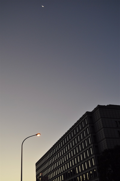 e0125762_17585278.jpg