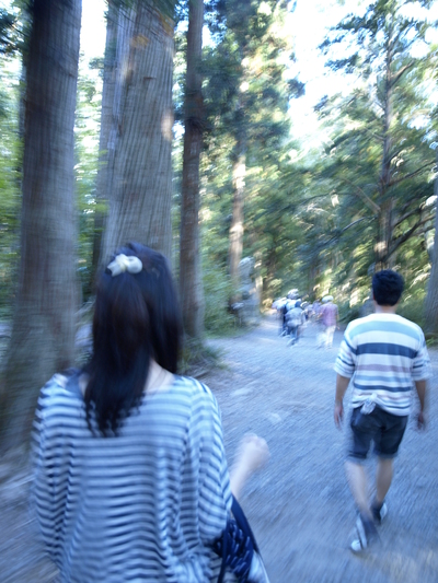 戸隠神社_b0204464_1454119.jpg