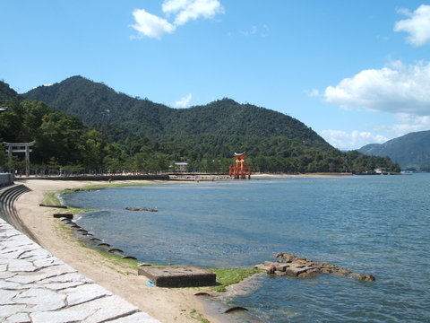 e0231465_1859310.jpg