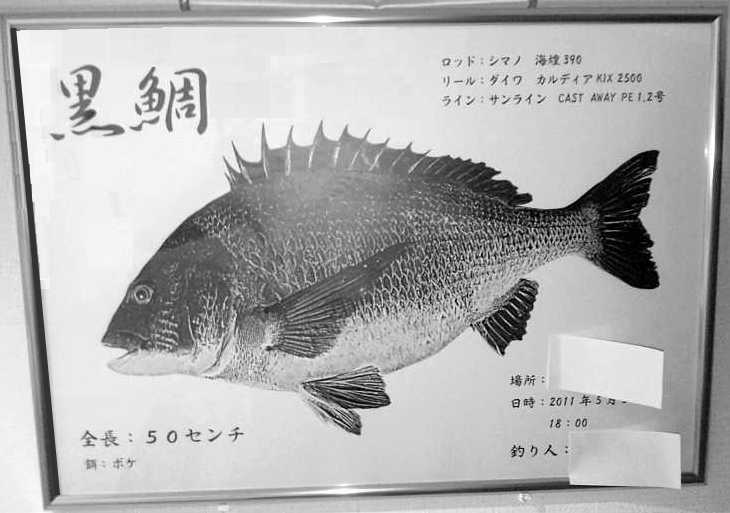 デジタル魚拓 黒鯛 釣り談義