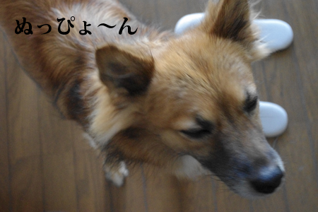 f0238772_2222238.jpg